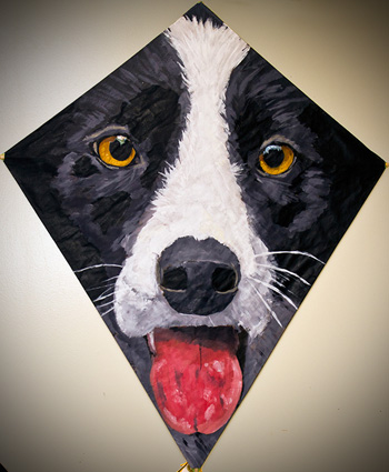 Border Collie Kite