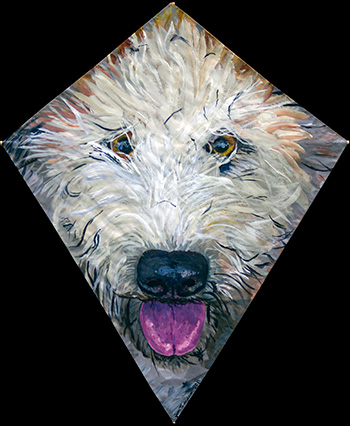 Dog Kite