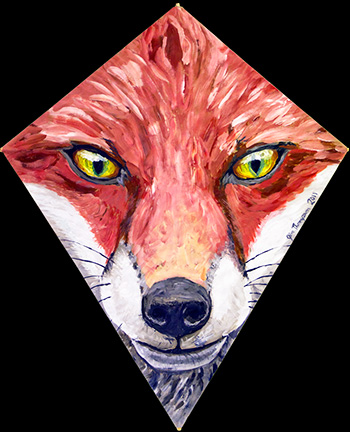 Fox Kite 1