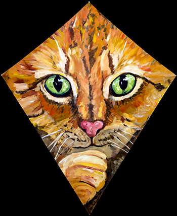 Cat Kite 3