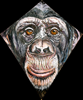 Chimp Kite