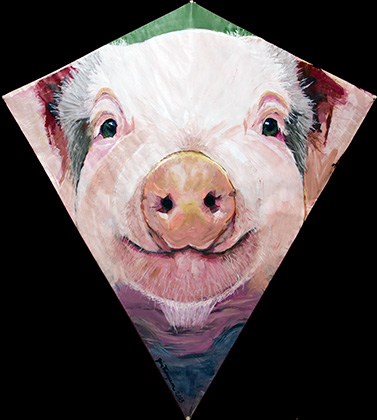 Pig Kite