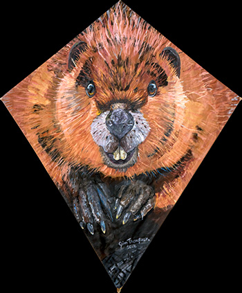 Beaver Kite